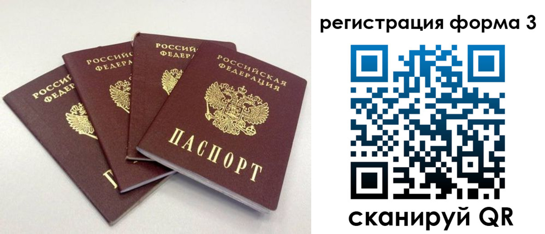 прописка 2025 в Михайловке