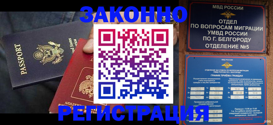 прописка законно в Михайловке